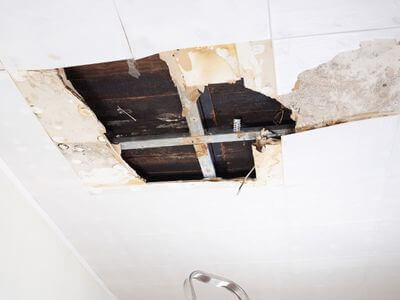 About Ecorse Black Mold Removal - black mold removal experts in Ecorse